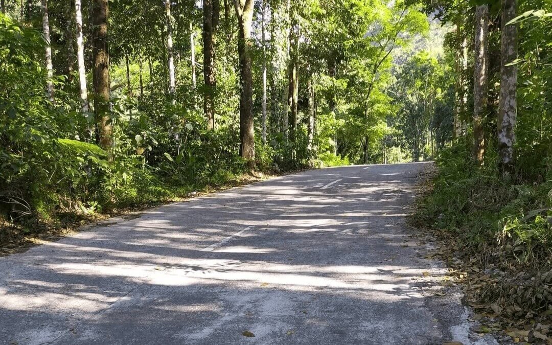 7 Best Tips for Car Rental in the Philippines